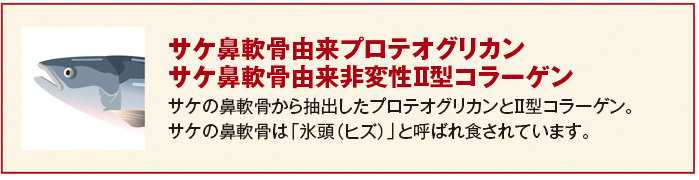 サケ鼻軟骨由来プロテオグリカン サケ鼻軟骨由来非変性Ⅱ型コラーゲン サケの鼻軟骨から抽出したプロテオグリカンとⅡ型コラーゲン。サケの鼻軟骨は「氷頭（ヒズ）」と呼ばれ食されています。
