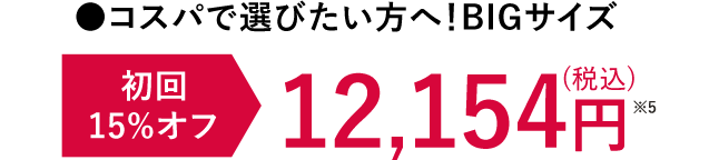 コスパで選びたい方へ！BIGサイズ 初回15%OFF 12,154円※5（税込）