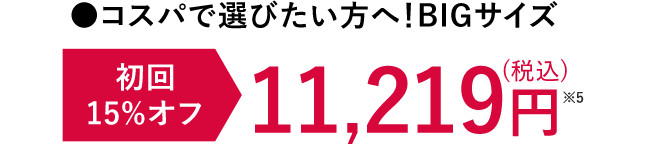 コスパで選びたい方へ！BIGサイズ 初回15%OFF 11,219円※5（税込）