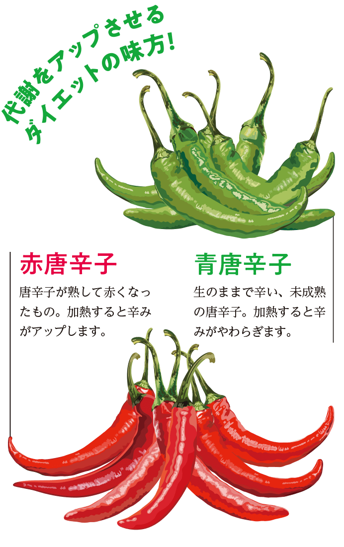 代謝をアップさせるダイエットの味方！青唐辛子／赤唐辛子