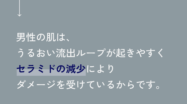 男性の肌は、うるおい流出ループが起きやすくセラミドの減少によりダメージを受けているからです。