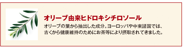 オリーブ由来ヒドロキシチロソール オリーブの葉から抽出した成分。ヨーロッパや中東諸国では、古くから健康維持のためにお茶等により摂取されてきました。