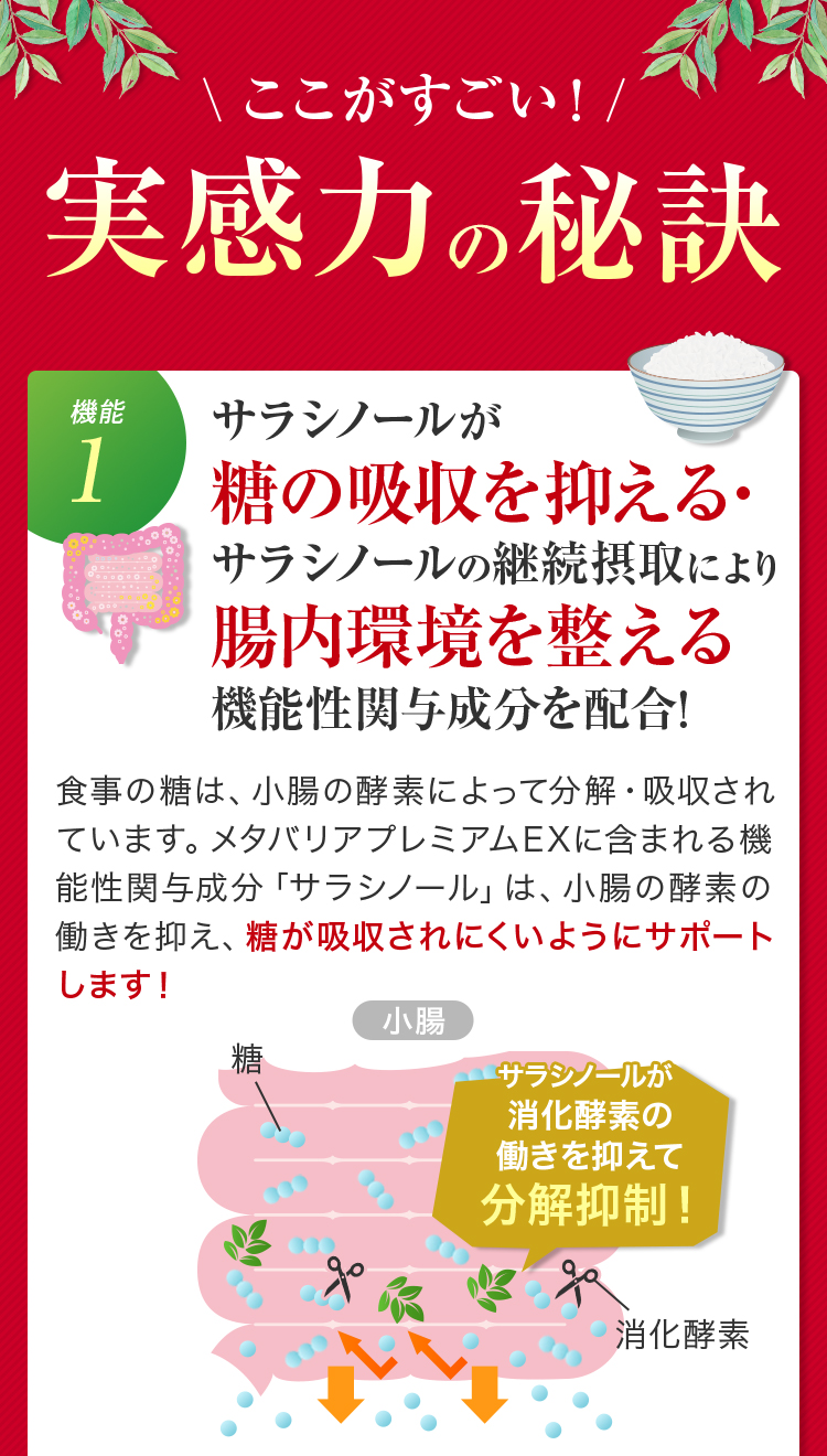 ここがすごい！実感力の秘訣。【機能1】サラシノールが糖の吸収を抑える・サラシノールの継続摂取により腸内環境を整える機能性関与成分を配合！