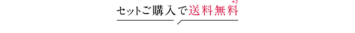 セットご購入で送料無料