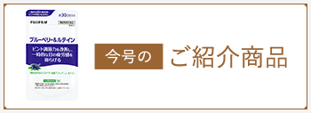 今月のご紹介商品