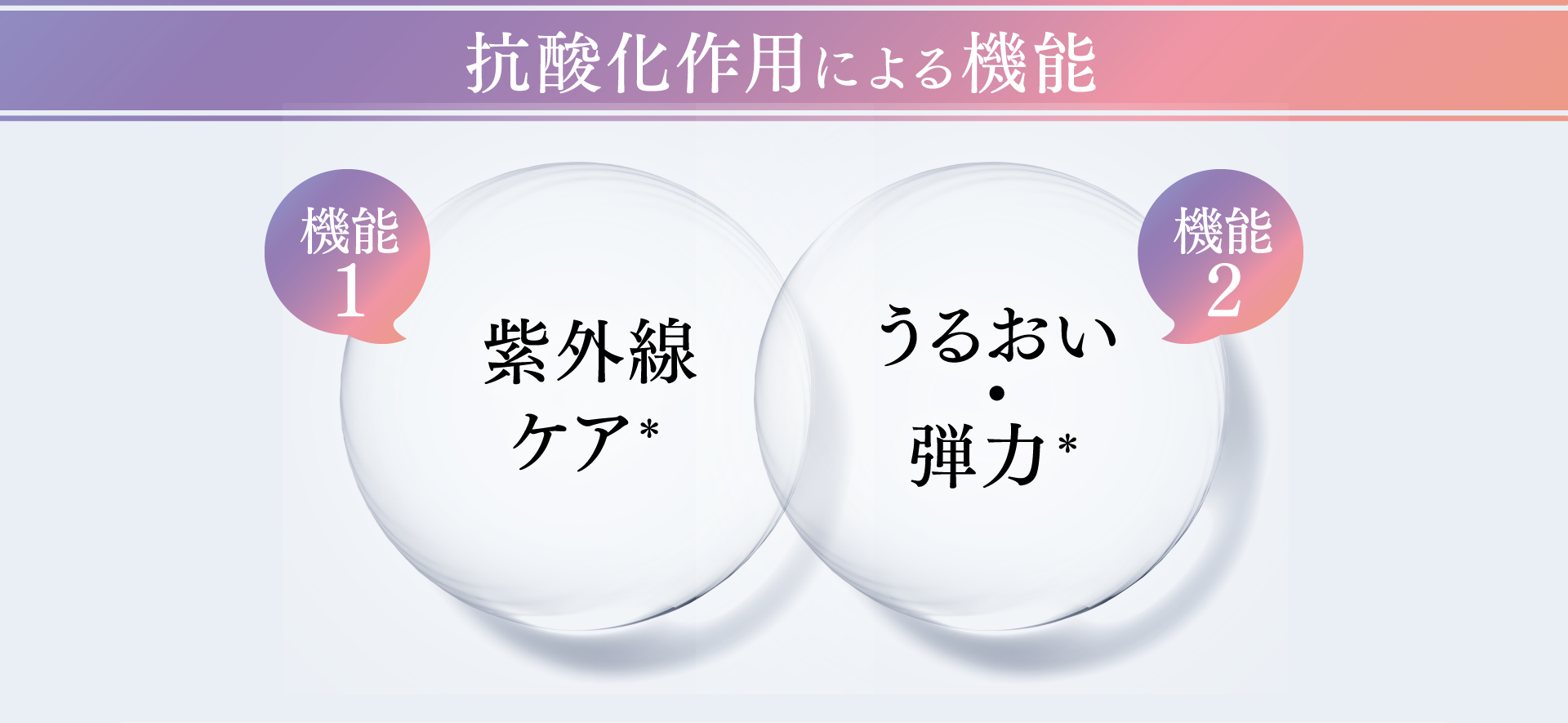 抗酸化作用による機能 機能1 紫外線ケア＊ 機能2 うるおい・弾力＊