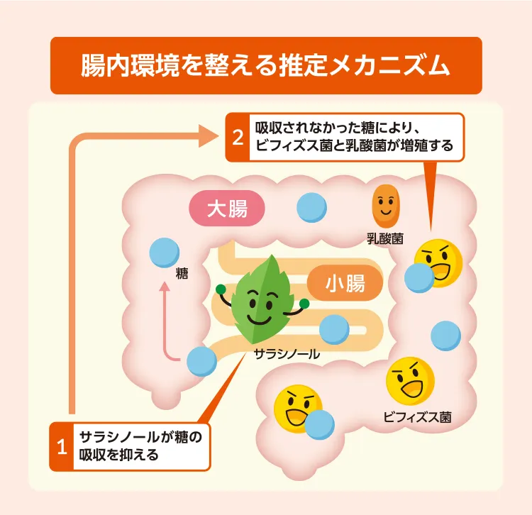 腸内環境を整える推定メカニズム