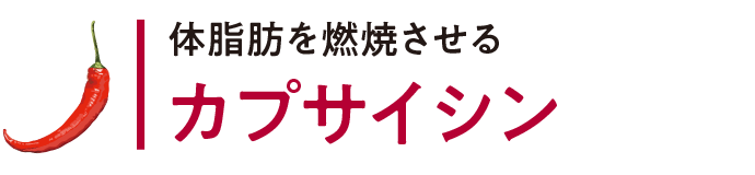 体脂肪を燃焼させる カプサイシン