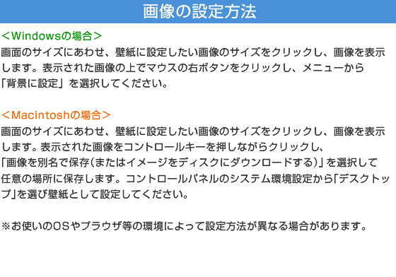 画像の設定方法