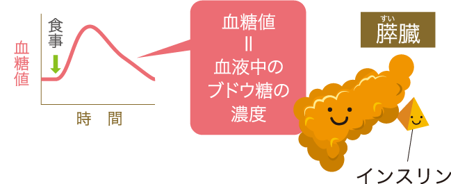 血糖値＝血液中のブドウ糖の濃度
