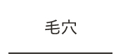 毛穴