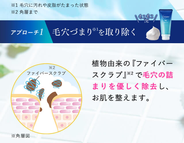 【アプローチ1】毛穴づまりを取り除く