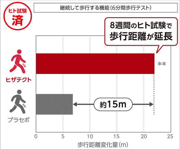 ヒト試験済 継続して歩行する機能（6分間歩行テスト）8週間のヒト試験で歩行距離が延長