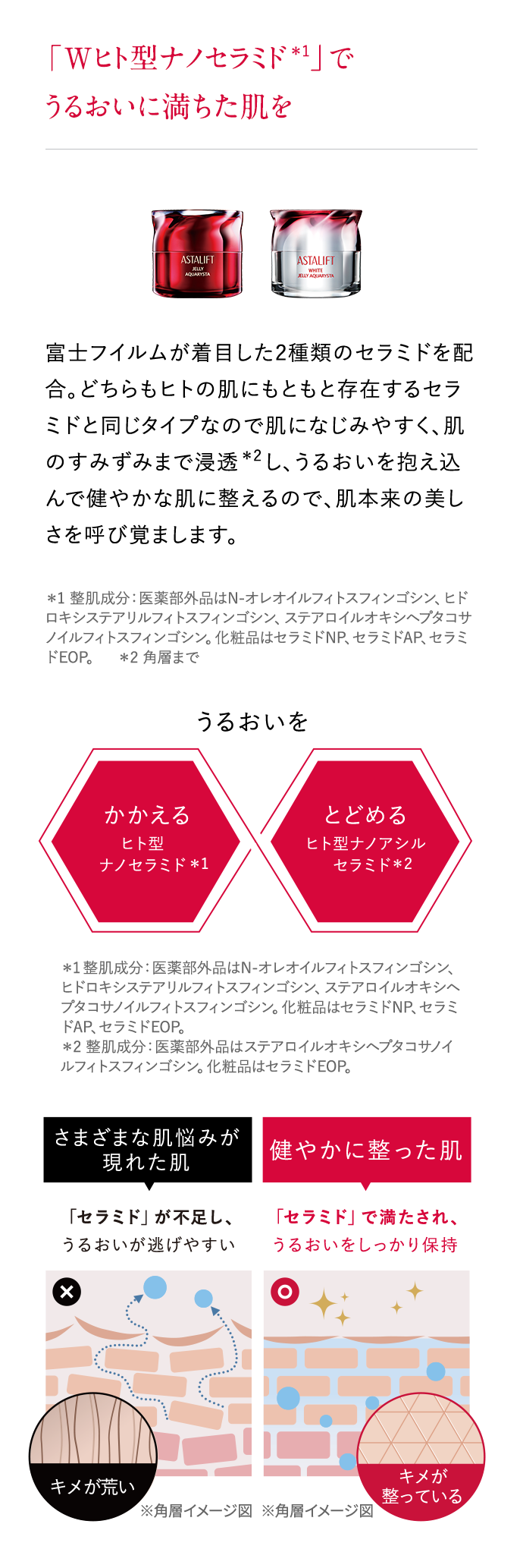 「Wヒト型ナノセラミド」でうるおいに満ちた肌を