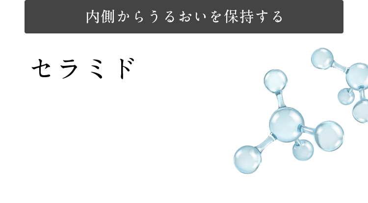 内側からうるおいを保持する セラミド