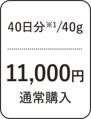 40日分/40g 11,000円 通常購入