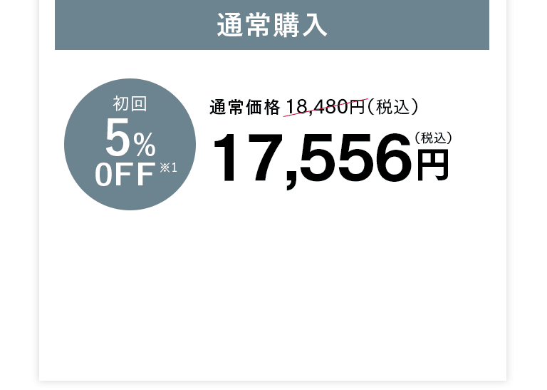 通常購入 17,556円（税込）