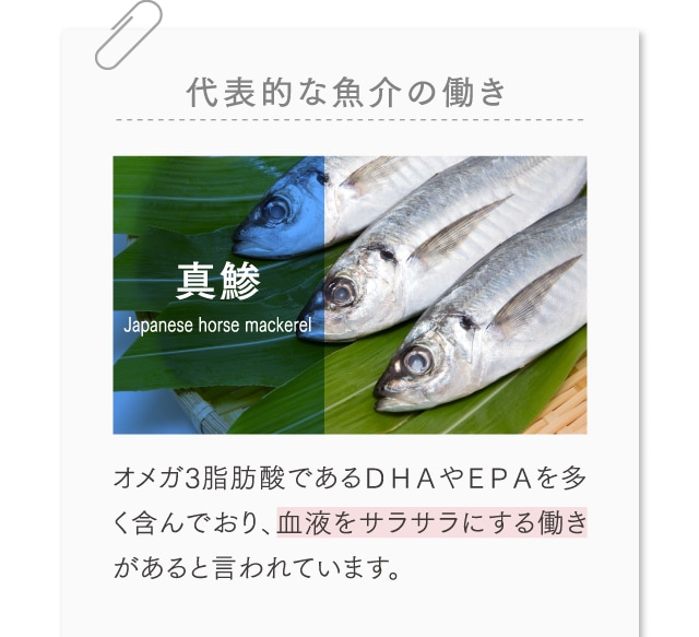代表的な魚介の働き