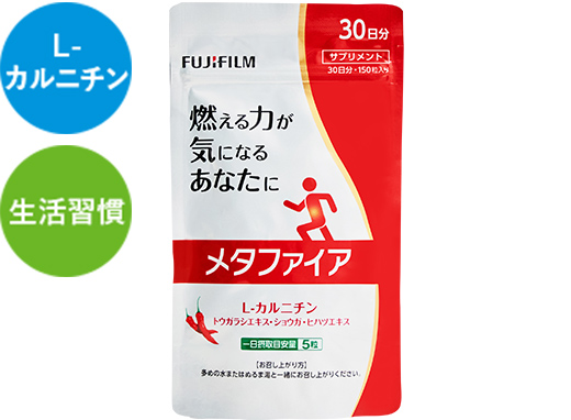 メタファイア