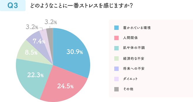 Q3 どのようなことに一番ストレスを感じますか？