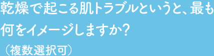 Q3  乾燥で起こる肌トラブルというと、最も何をイメージしますか？ （単一回答）