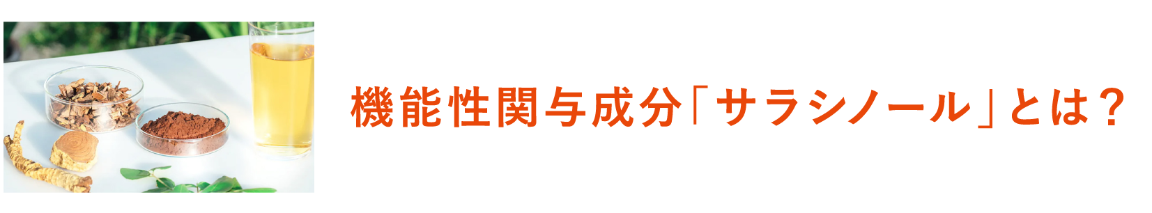 機能性関与成分「サラシノール」とは？