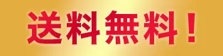 送料無料