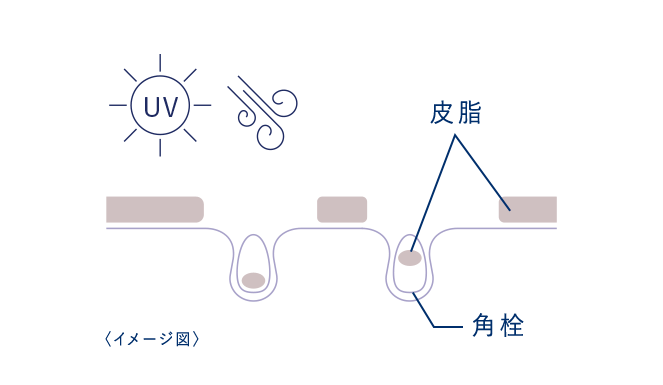 過酸化脂質について
