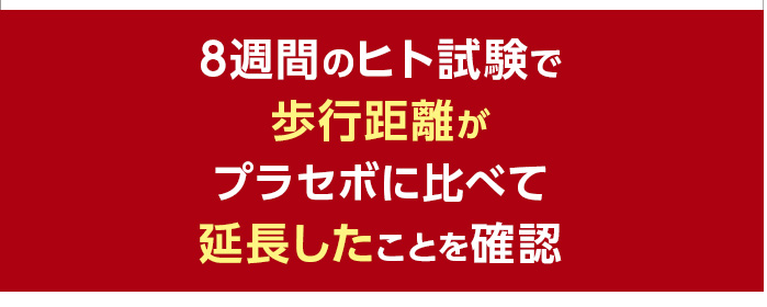 8週間のヒト試験で歩行距離がプラセボに比べて延長したことを確認