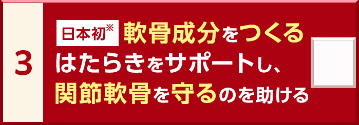 3. 軟骨成分をつくるはたらきをサポートし、関節軟骨を守るのを助ける 日本初※