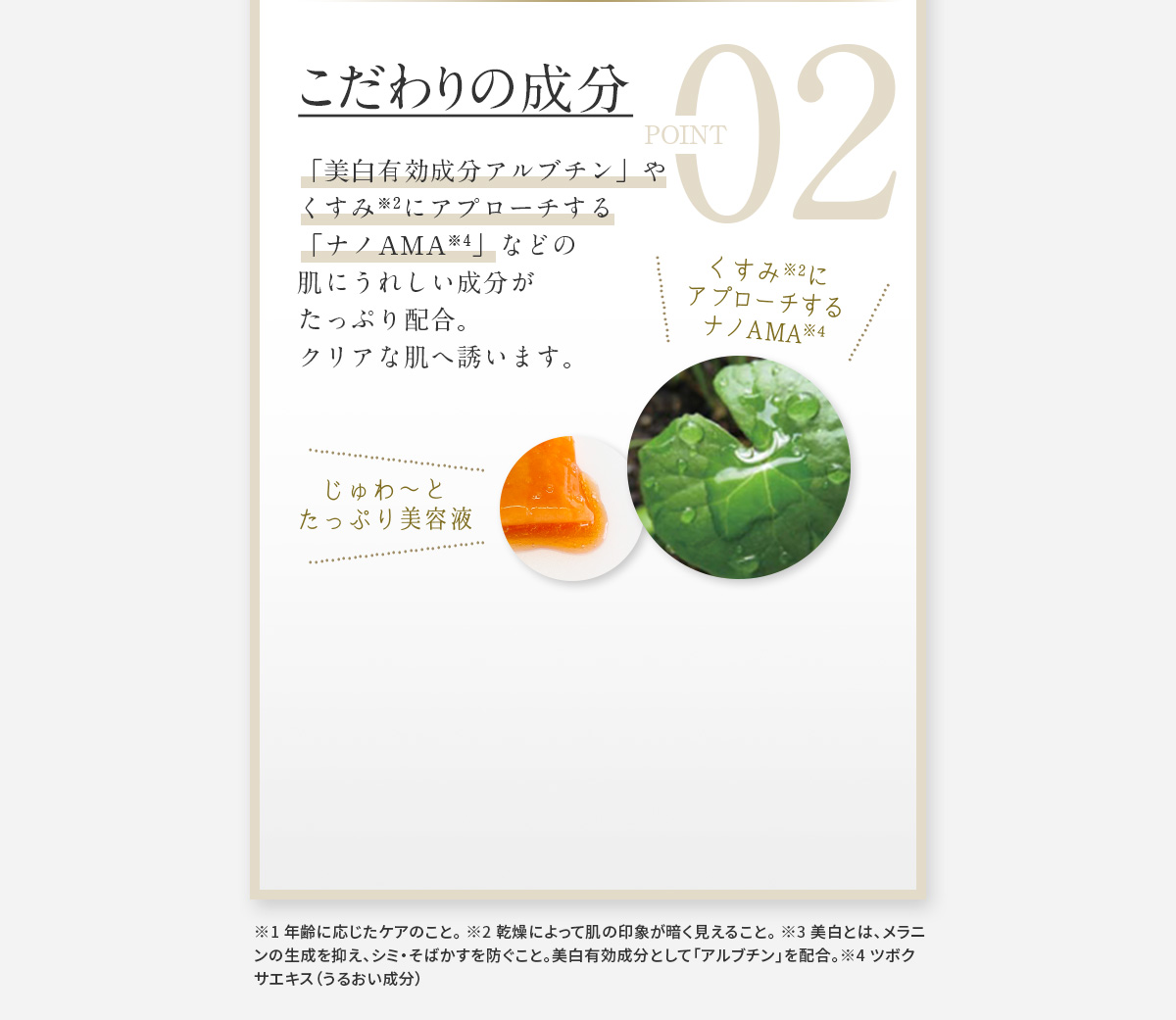 POINT 02 こだわりの成分 「美白有効成分アルブチン」やくすみ※2にアプローチする「ナノAMA※4」などの肌にうれしい成分がたっぷり配合。
