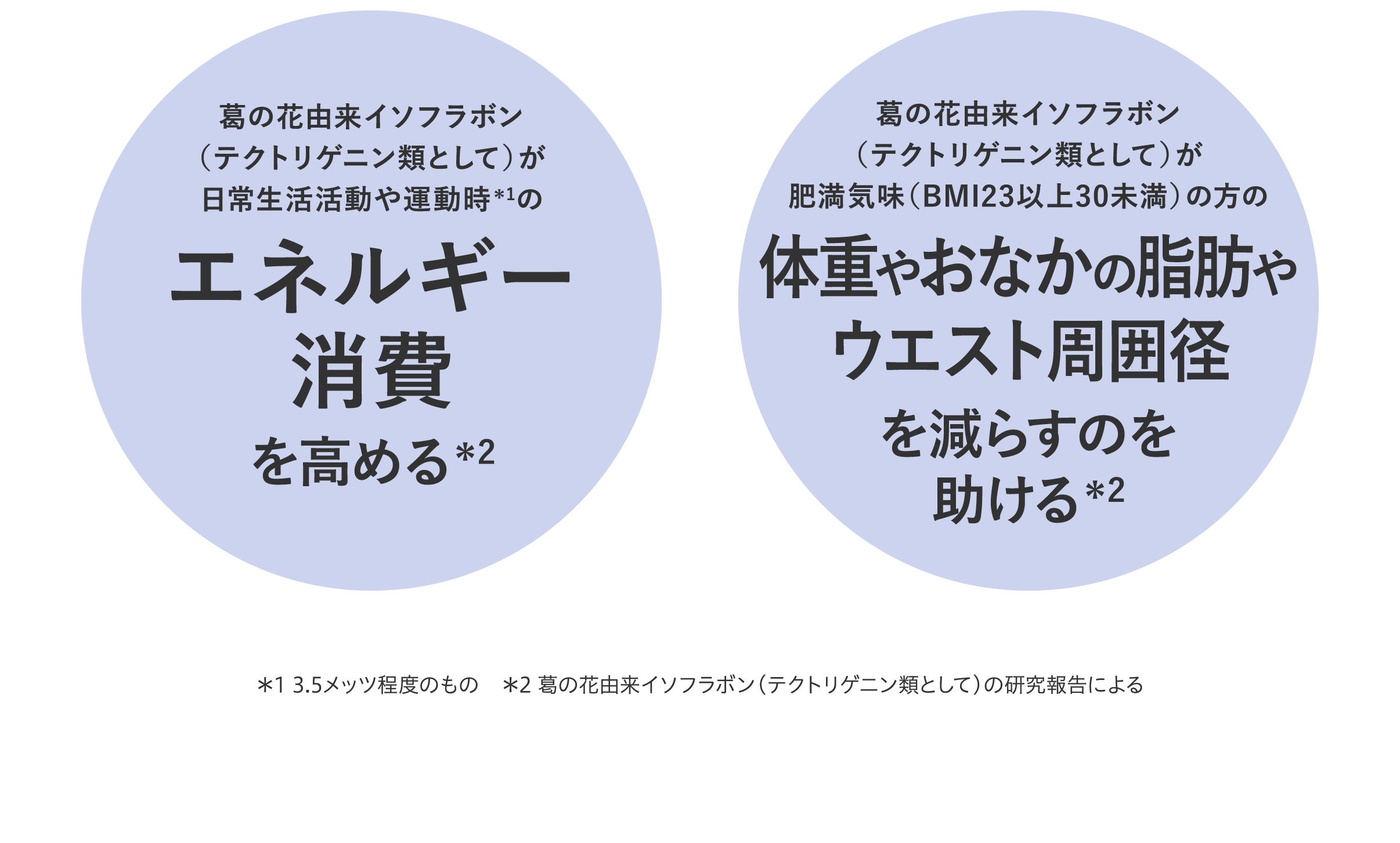 葛の花由来イソフラボンが日常生活活動や運動時*のエネルギー消費を高める