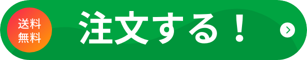注文する！送料無料