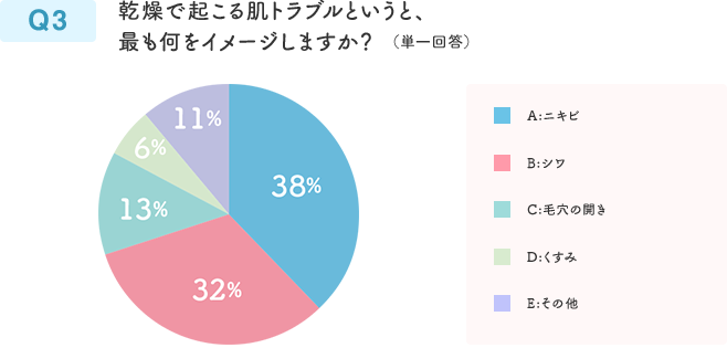 Q3  乾燥で起こる肌トラブルというと、最も何をイメージしますか？ （単一回答）