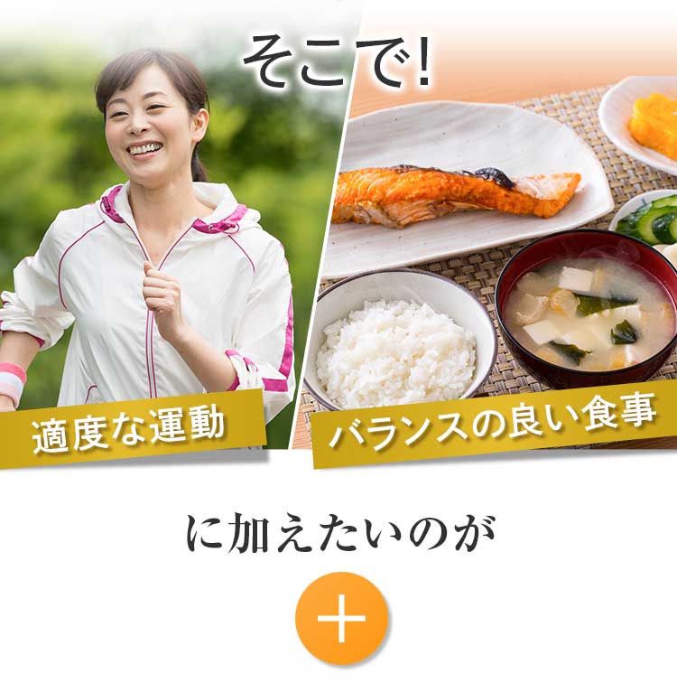 そこで適度な運動・バランスの良い食事に加えたいのが