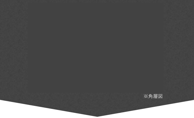 角層図