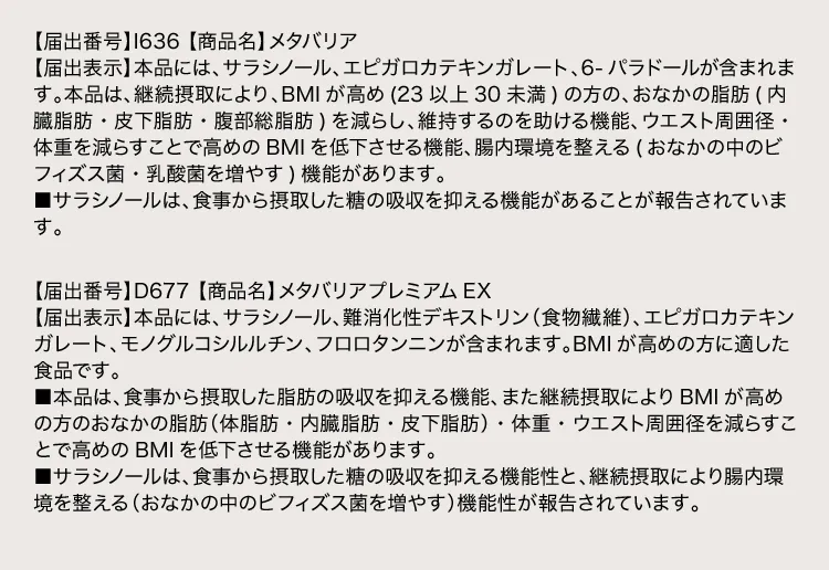 届出表示