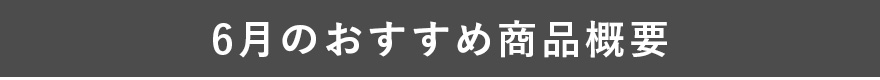 6月のおすすめ商品概要