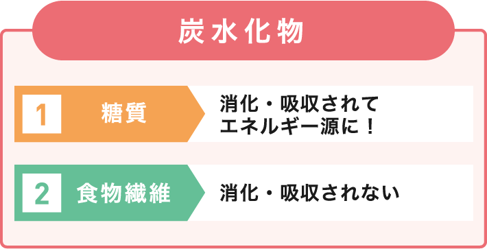 炭水化物　糖質　消化・吸収されてエネルギー源に！　食物繊維　消化・吸収されない