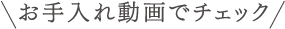 お手入れ動画でチェック