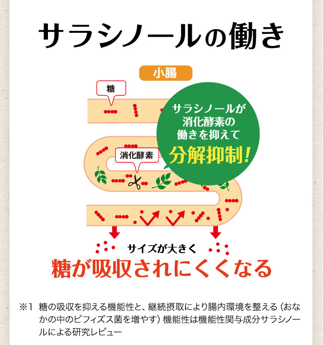 サラシノールの働き