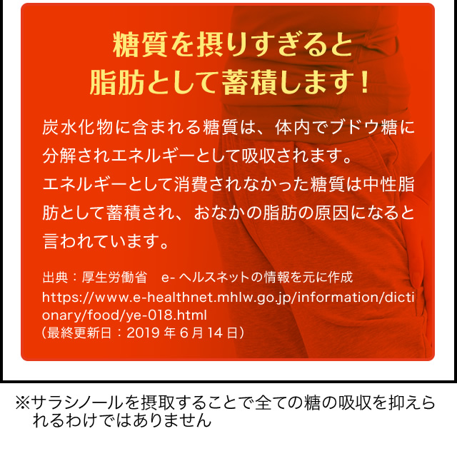 糖質を摂りすぎると脂肪として蓄積します！