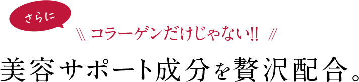 さらにコラーゲンだけじゃない!!美容サポート成分を贅沢配合。