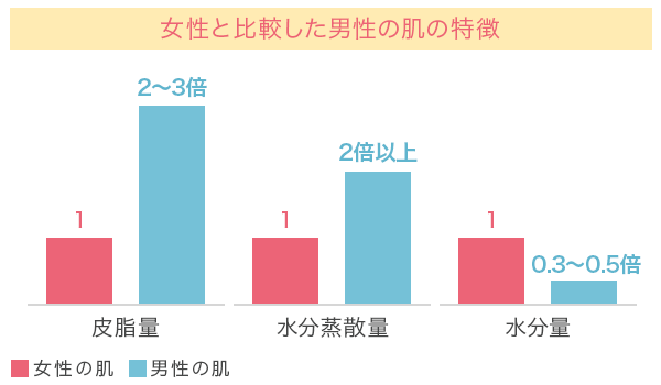 女性と比較した男性の肌の特徴
