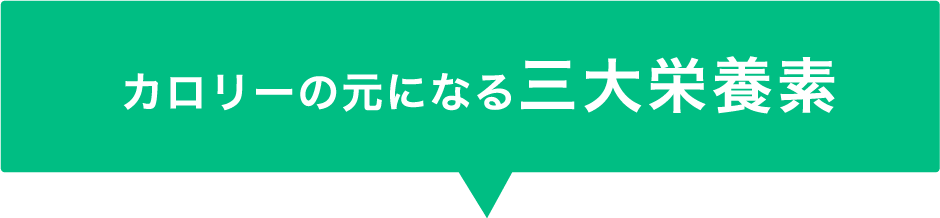 カロリーの元になる三大栄養素