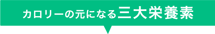 カロリーの元になる三大栄養素