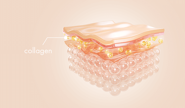 本当は知らないコラーゲンの重要性