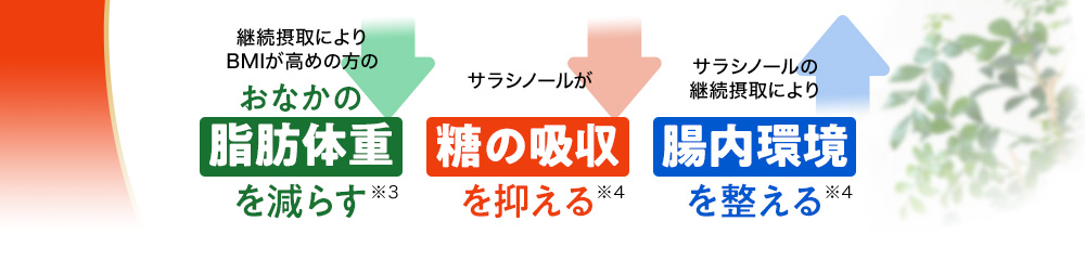 おなかの脂肪体重を減らす 糖の吸収を抑える 腸内環境を整える